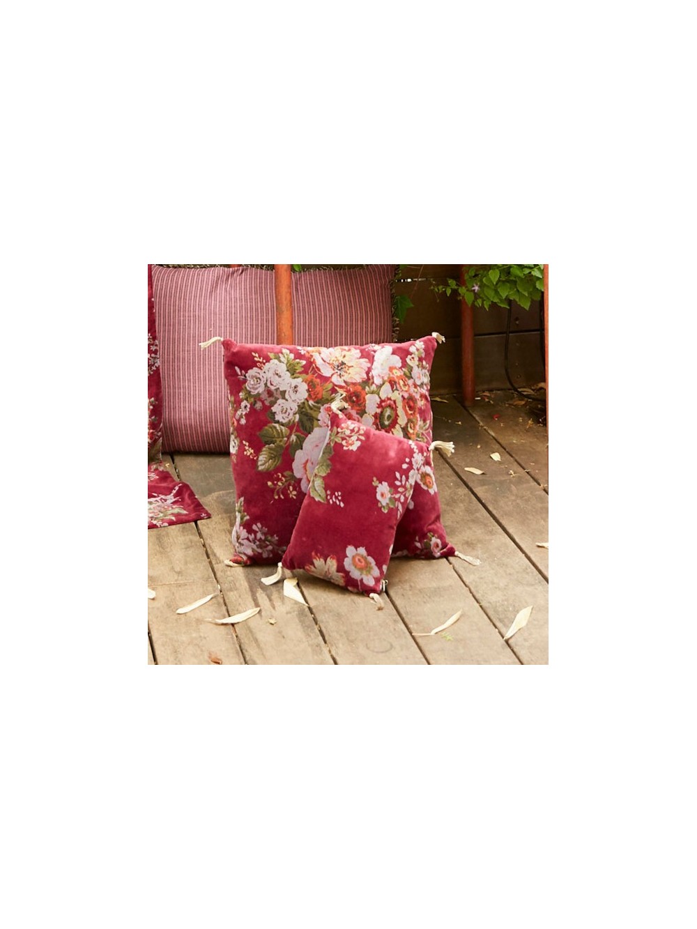 BANGALORE COUSSIN RUBIS 20X30