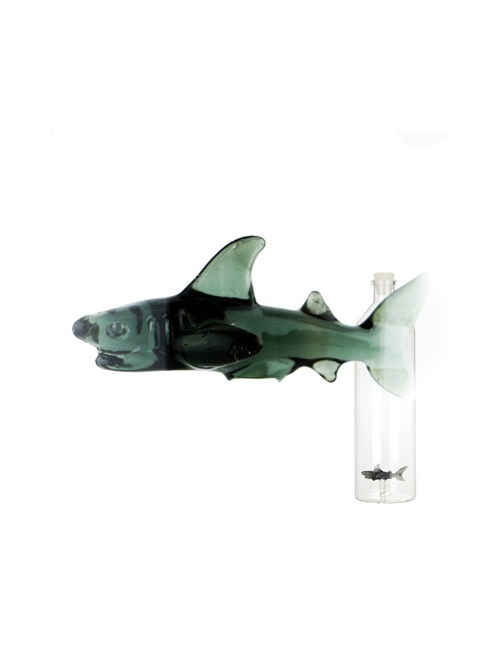 Carafe 1.2l SHARK