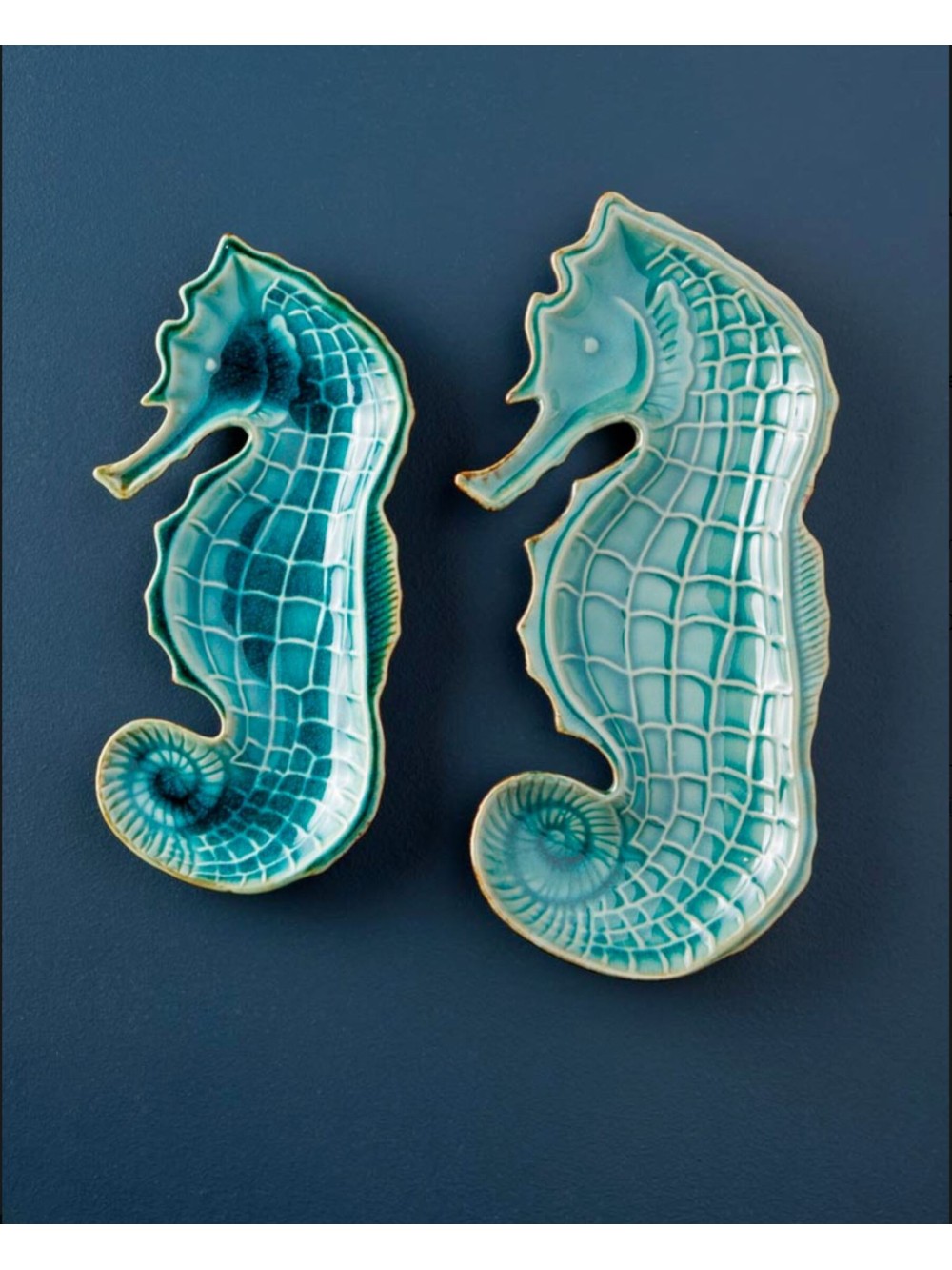 Petite assiette aqua hypocampe