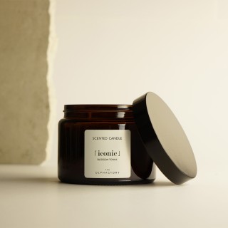 Bougie huiles essentielles 360g - The Olphactory