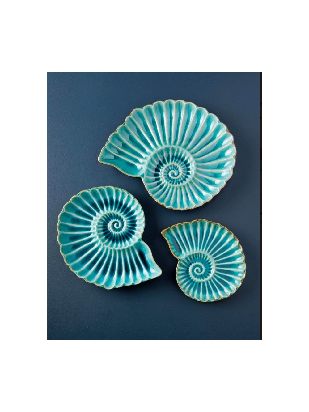 Grande assiette aqua coquillage rond