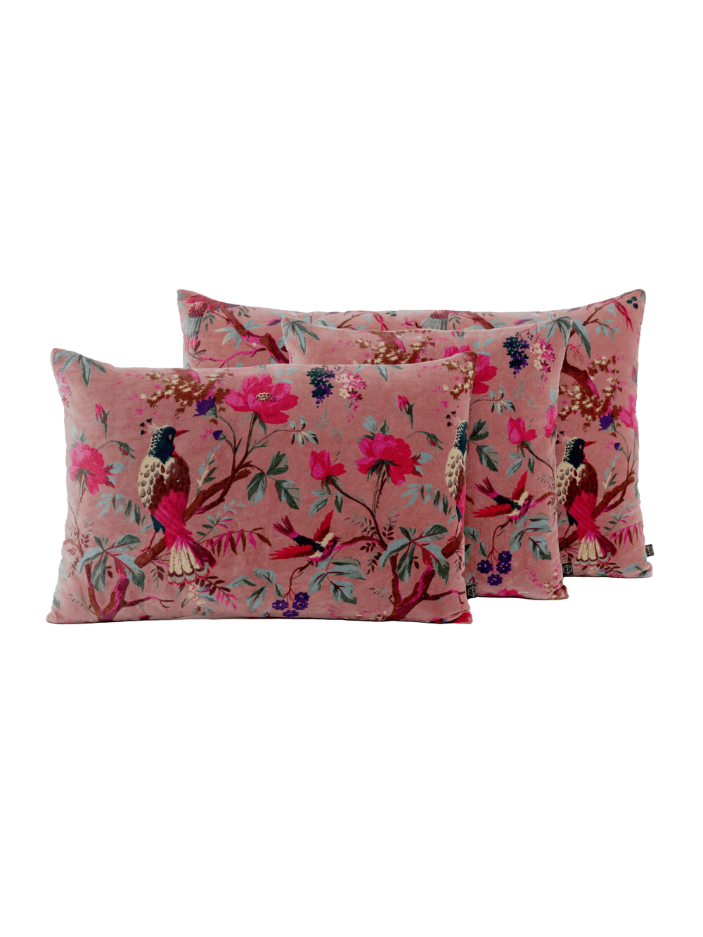 Coussin velours Birdy  Bois de Rose