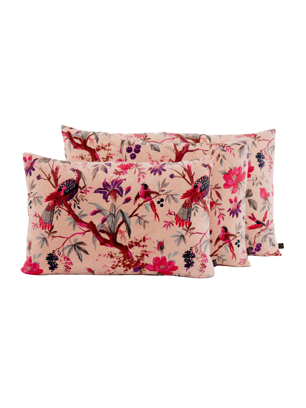 Coussin velours Birdy Cimarron