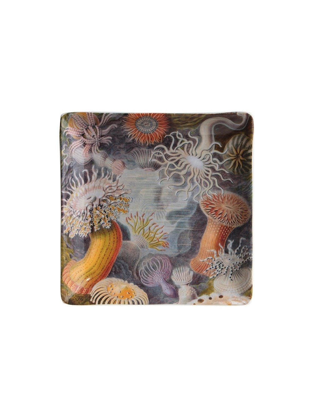 PLATEAU TRINKET TRAY SEA LIFE 13X13CM
