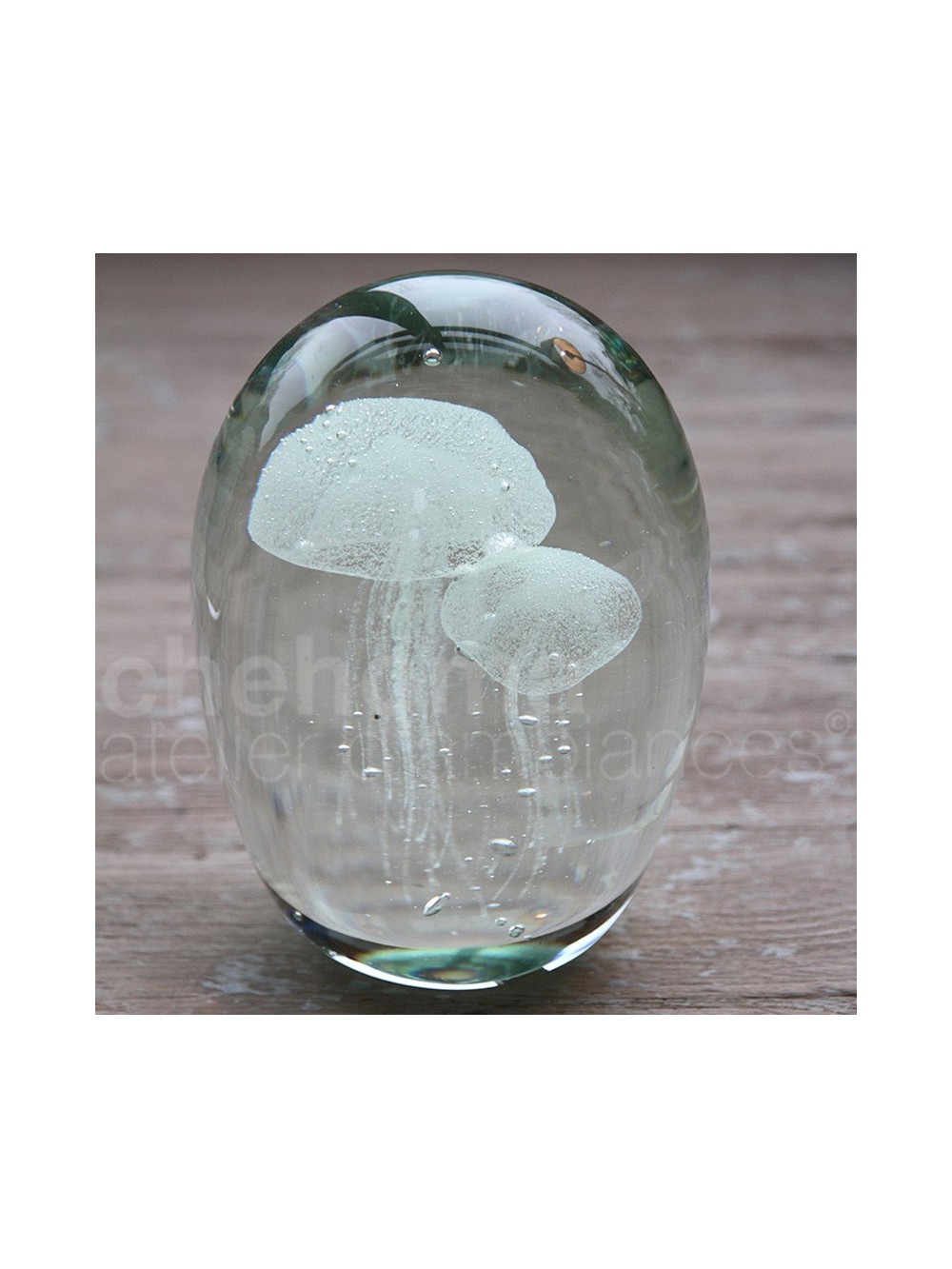 SULFURE 16CM 2 MEDUSES OMBRELLE