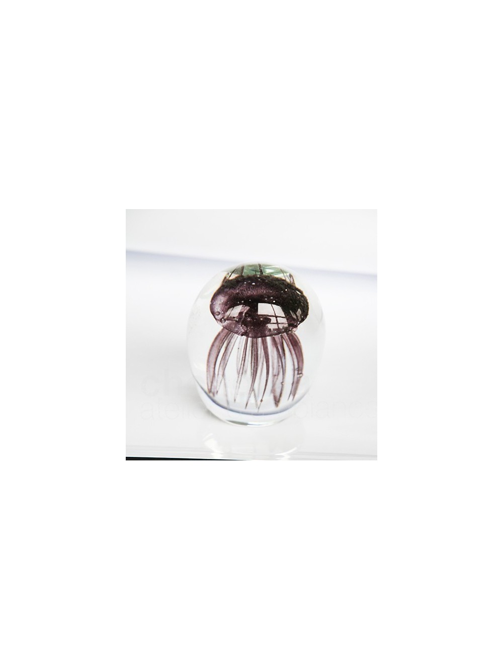 SULFURE 10CM MEDUSE PELAGIA