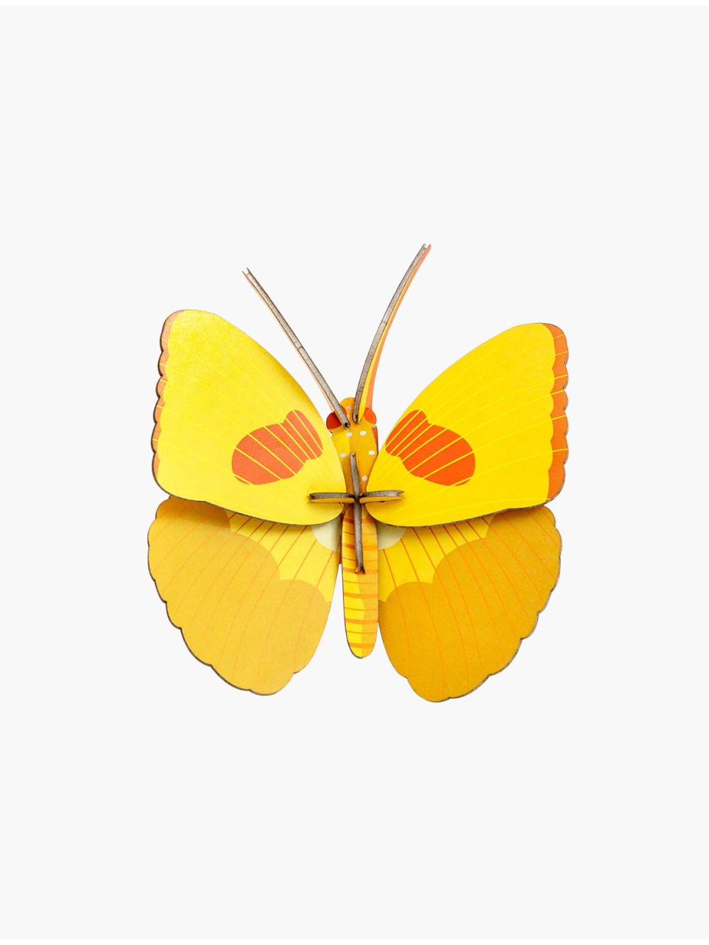 PETITS INSECTES PAPILLON JAUNE